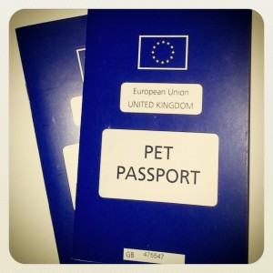 Pet Passports for the UK